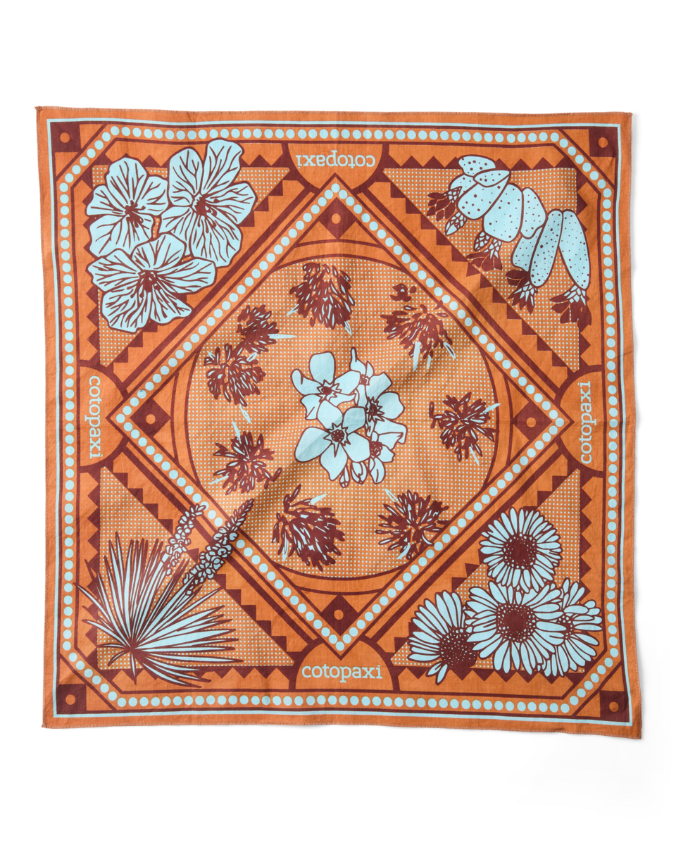 Organic Cotton Bandana, Desert Llama