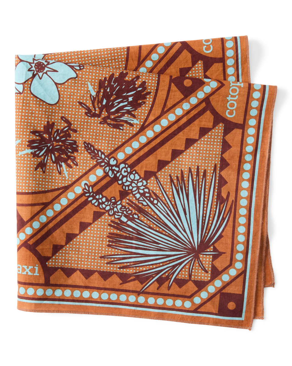 Organic Cotton Bandana, Desert Llama