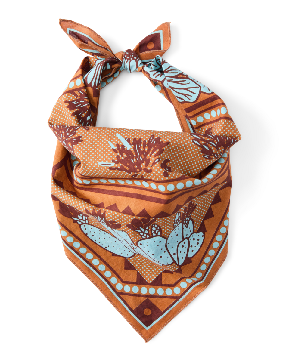 Organic Cotton Bandana, Desert Llama