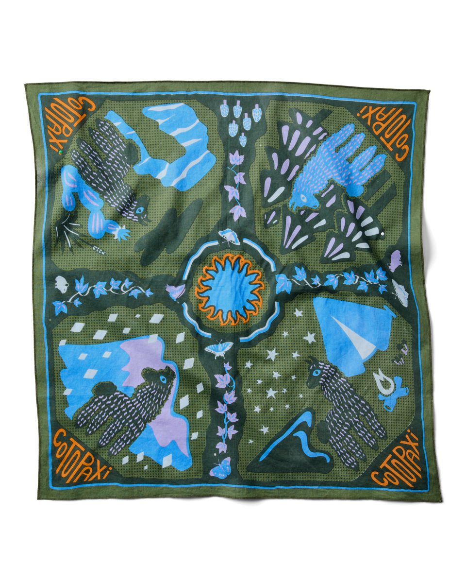 Organic Cotton Bandana, Llama Camp Bandana