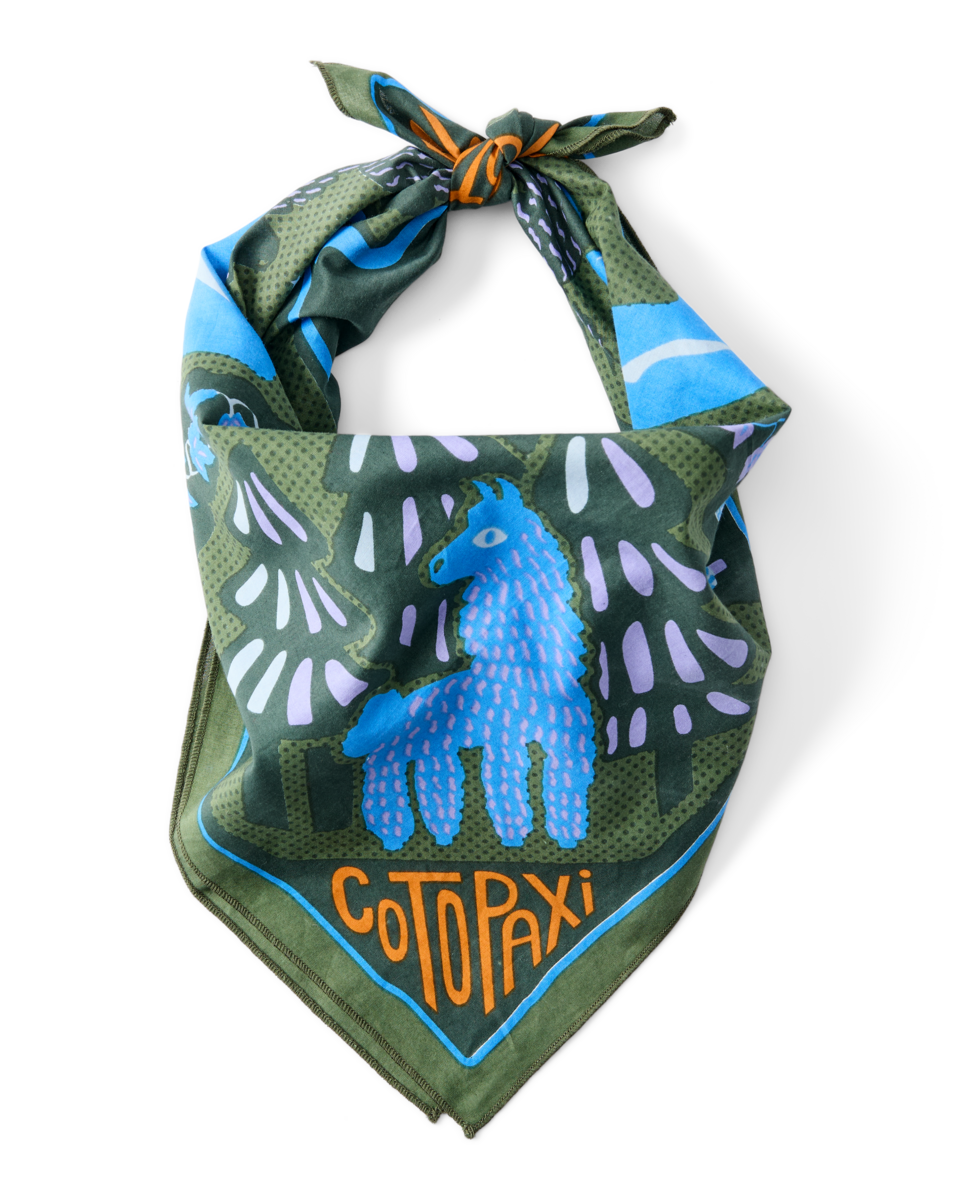 Organic Cotton Bandana, Llama Camp Bandana